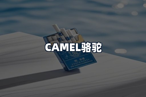 CAMEL骆驼